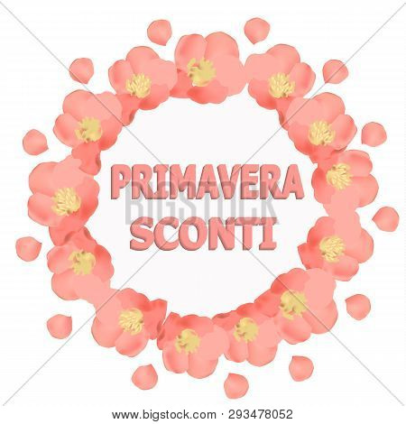 Bright Spring Background. Background With Beautiful Colorful Flowers.