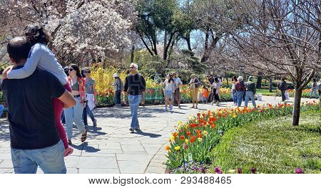 Dallas,texas- March 18,2019 - Young Familys On A Nice Day In Spring Exploring The Dallas Arboretum G