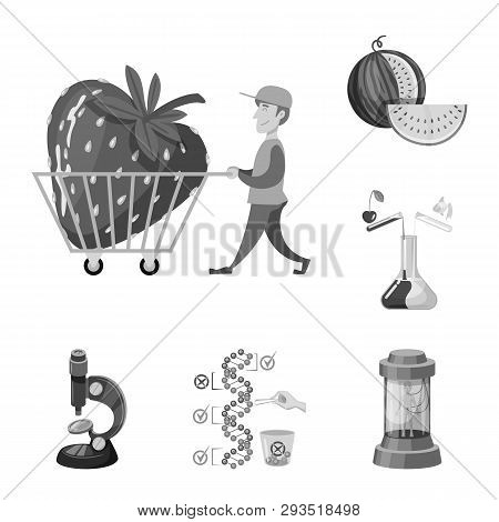 Vector Design Of Transgenic And Organic Icon. Set Of Transgenic And Synthetic Stock Symbol For Web.