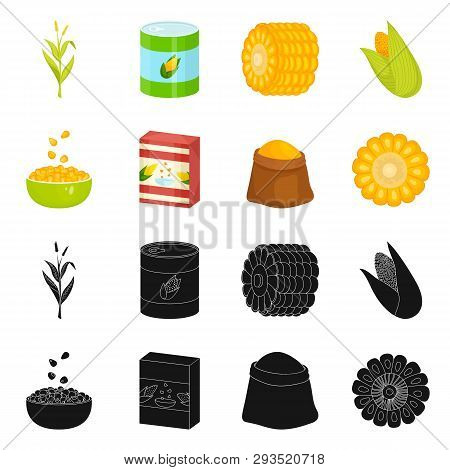 Vector Design Of Cornfield And Vegetable Sign. Set Of Cornfield And Vegetarian Stock Vector Illustra