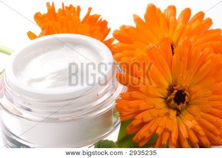 ครีมหน้าใสและดอก Calendula