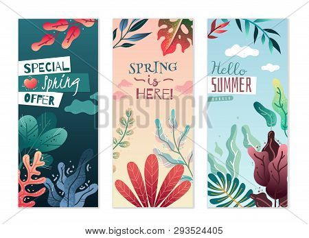 Spring Summer Decorative Vertical Banners. Pleasant Colors And Delicate Gradients.
