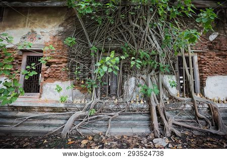 Dilapidated Church In Wat Rat Bamrung (wat Ngon Kai) - Samut Sakhon, Thailand