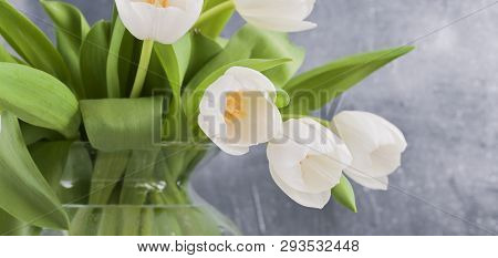 Bouquet Of White Tulips In A Vase On A Gray Background. Flowers As A Gift For Your Favorite Person. 