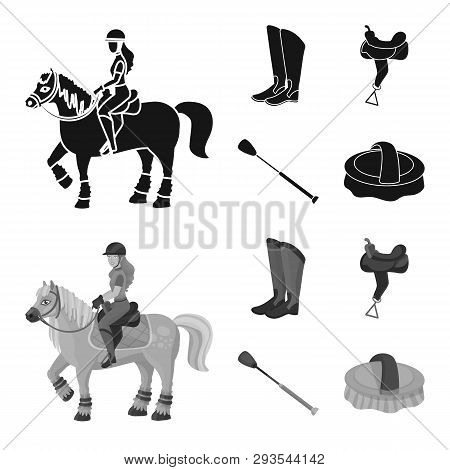 Vector Design Of Equipment And Riding Sign. Collection Of Equipment And Competition Vector Icon For 