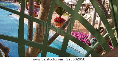 View Through Green Bridge Grate On Big Blue Outdoor Swimming Pool With Exotic Flowers Garden And Pal
