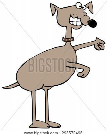 Illustration Of A Crazy Looking Dog Standing On Its Hind Legs.