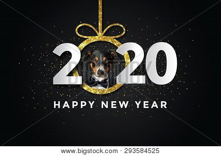 Cute Puppies Happy New Year 2020