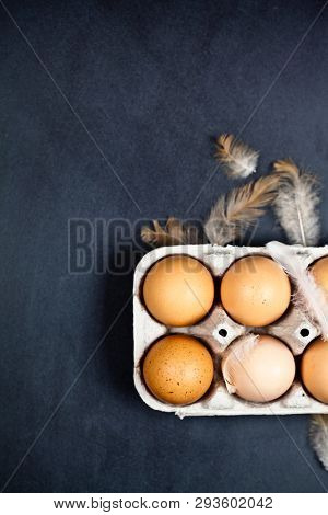 Farm chicken eggs in cardboard container and feathers on black background. Top view with copy space.