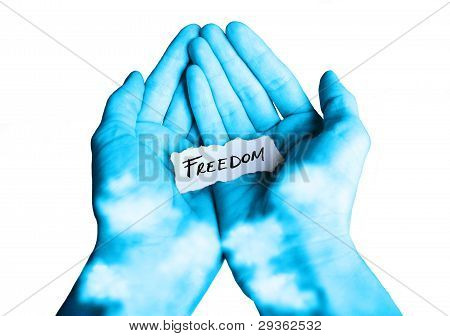 Offerta per la libertà