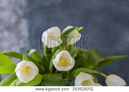Bouquet Of White Tulips In A Vase On A Gray Background. Flowers As A Gift For Your Favorite Person. 