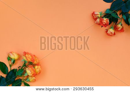 Background Of A Bouquet Of Beautiful Fresh Vivid Orange Roses Tinged With Red For Celebrating Valent