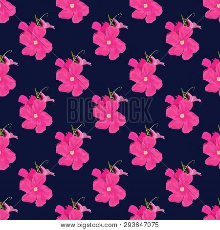 Vector Pattern Of Pink Mandevilla Sanden. Botanical Seamless In Fuchsia Colors. Floral Seamless Of T