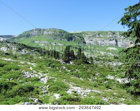 Alpine Peak Chäserrugg (chaserrugg Or Chaeserrugg) In The Alviergruppe Mountain Range - Canton Of St