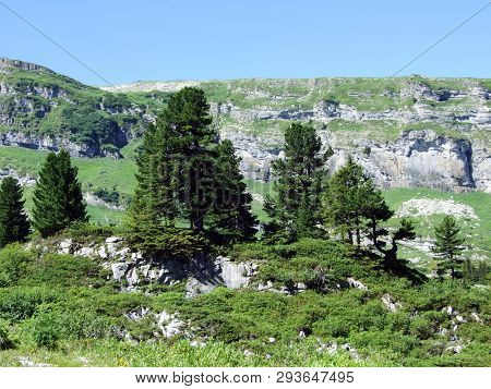 Alpine Peak Chäserrugg (chaserrugg Or Chaeserrugg) In The Alviergruppe Mountain Range - Canton Of St