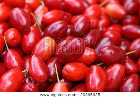 Ciliegie fresche di corniola