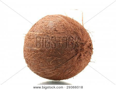 ? oconut isolerad på vit
