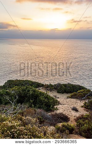 Sunririse Over The Pacific Ocean From Cliffside With Plants