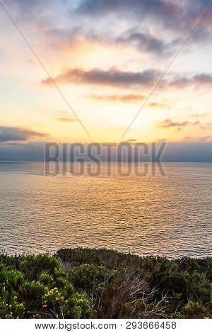 Blooming Plants On Cliff Overooking Pacific Ocean