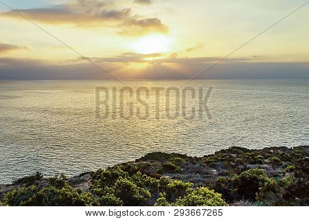 Sunrays On The Pacific Ocean At Sunrise From Cliff Side With Blooming Plants
