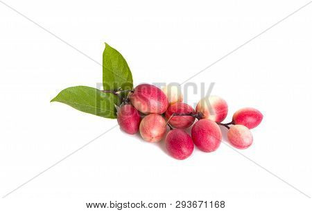 Carissa Carandas Linn,karanda, Carunda With Leaves Isolated On White Background