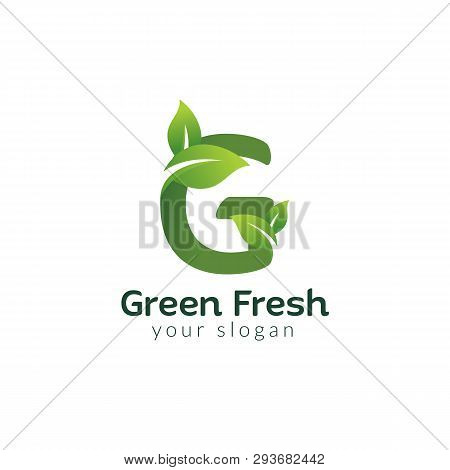 Eco Green Letter G Logo Design Template. Green Alphabet Vector Designs With Green And Fresh Leaf Ill