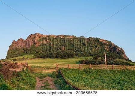 View On Sangumburi Crater On Sunset At Jeju Island
