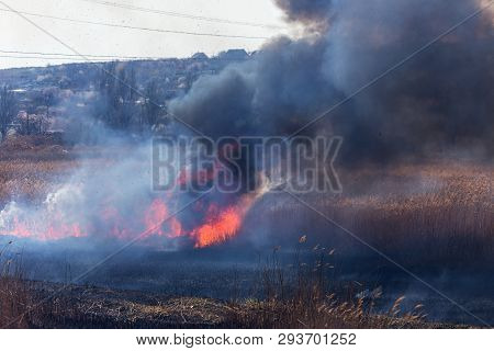 Raging Forest Spring Fires. Burning Dry Grass, Reed Along Lake. Grass Is Burning In Meadow. Ecologic