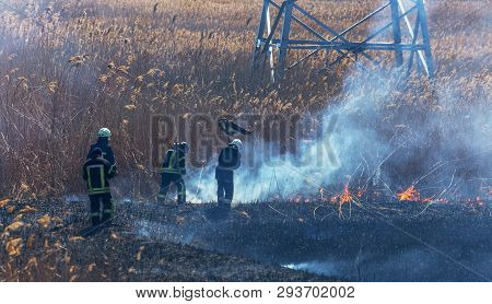 Raging Forest Spring Fires. Burning Dry Grass, Reed Along Lake. Grass Is Burning In Meadow. Ecologic