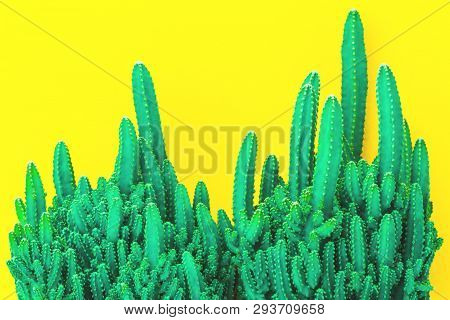 Cactus Fairy Castle In Multiple Rows On Trendy Yellow Background. Environment Friendly Summer Or Spr