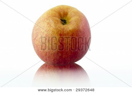 apple fruit