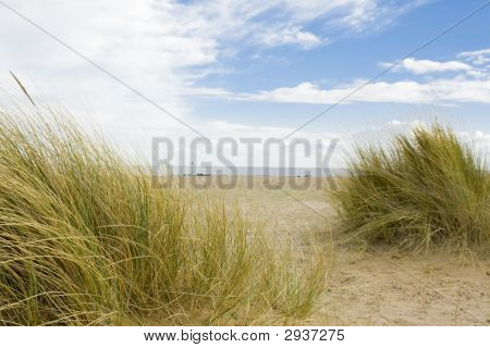 Spiaggia di erba