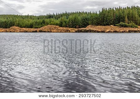 Conemara Lake With Pine Forest Around
