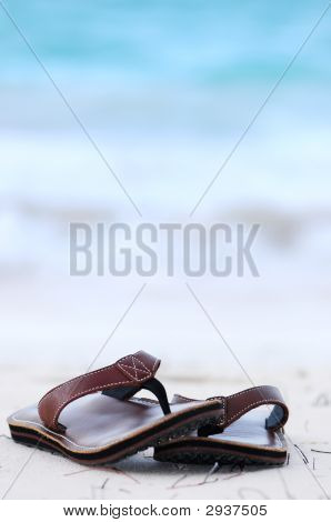 Flipflops ในแซนดี้บี