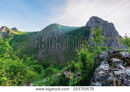 Morning In The Valisoara Gorge, Romania. Wonderful Forenoon In The Canyon. On The Edge Of A Slope