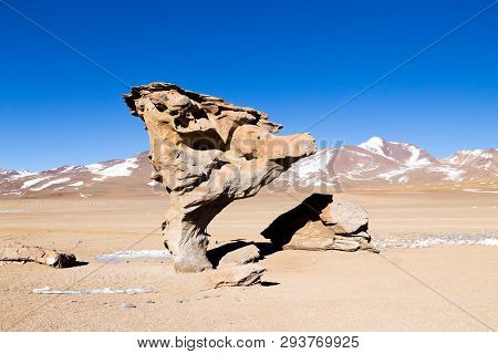 Stone Tree Rock, Bolivia. Bolivian Landmark. Arbol De Piedra