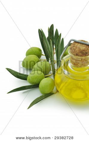 Organik yeşil zeytin