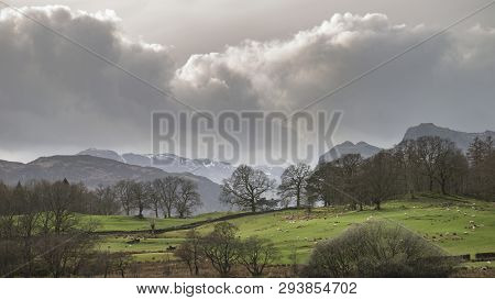 Beautiful Landscape Image Of Loughrigg Tarn In Uk Lake District During Moody Evening In Spring