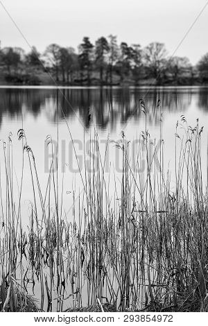 Beautiful Landscape Image Of Loughrigg Tarn In Uk Lake District During Moody Evening In Spring In Bl