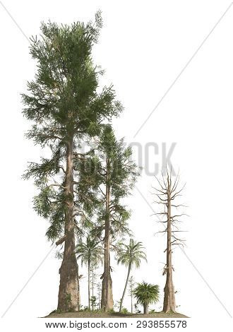 Trees Of The Mesozoic Era Isolated On White Background 3d Illustration