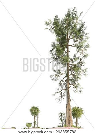Trees Of The Mesozoic Era Isolated On White Background 3d Illustration