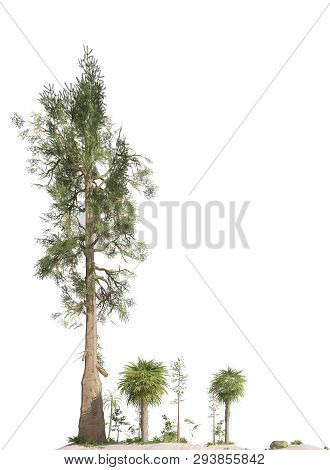Trees Of The Mesozoic Era Isolated On White Background 3d Illustration