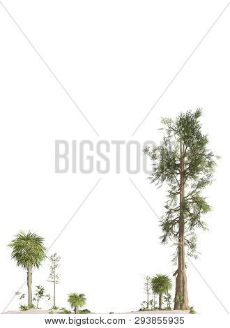 Trees Of The Mesozoic Era Isolated On White Background 3d Illustration