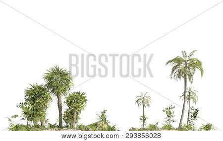 Trees Of The Mesozoic Era Isolated On White Background 3d Illustration