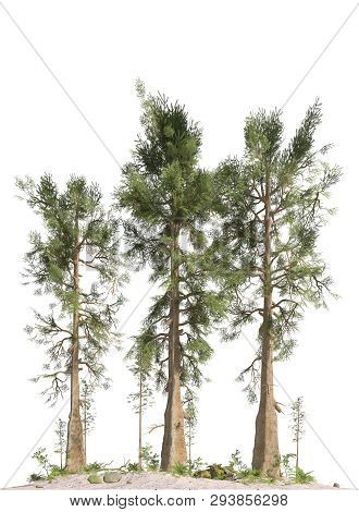 Trees Of The Mesozoic Era Isolated On White Background 3d Illustration