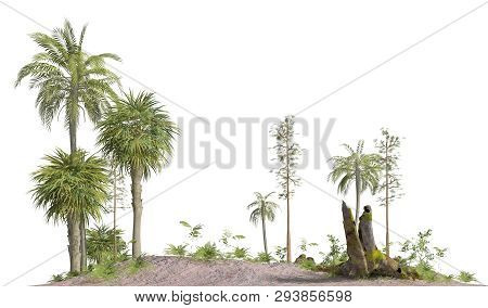Trees Of The Mesozoic Era Isolated On White Background 3d Illustration