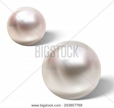 Realistic Different Colors Pearls Set. Round Colored Nacre Formed Within The Shell Of A Pearl Oyster