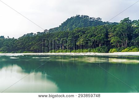 Stunning View Of Havelock Island Beach, Beautiful Tree In The Sea Water, Andaman Nicobar Islands.