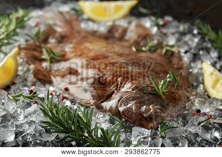Raw Lemon Sole Fish On Ice With Herbs And Lemon Wedges