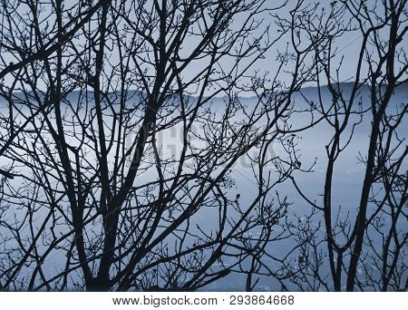 Fog Form The Trees In The Vicenza Hills